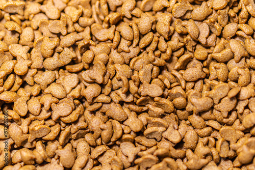 Full frame top view of fish-shaped dry kibble pet food for domestic cats, highlighting feline nutrition and crunchy animal treats.