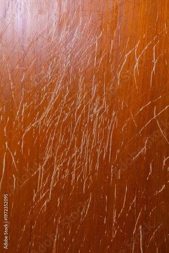 Vertical close-up of severe deep claw marks scratching a brown varnished wooden door, showing pet behavior and property damage.