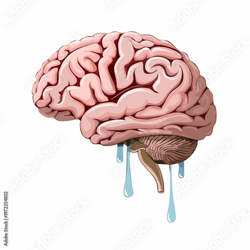 Illustration of a human brain with the cerebellum and brainstem, showing dripping liquid, mental health concept