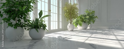 Bright sunlit room with potted plants near a large window.