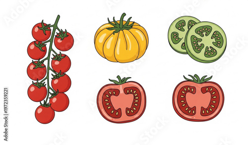 Tomato doodle vector set with cherry heirloom sliced and halved fresh vegetables