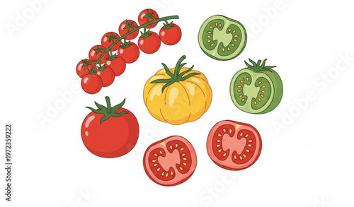 Doodle tomato collection with cherry heirloom sliced and fresh organic vegetables vector