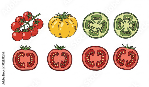 Tomato doodle vector bundle with cherry heirloom sliced and halved fresh produce