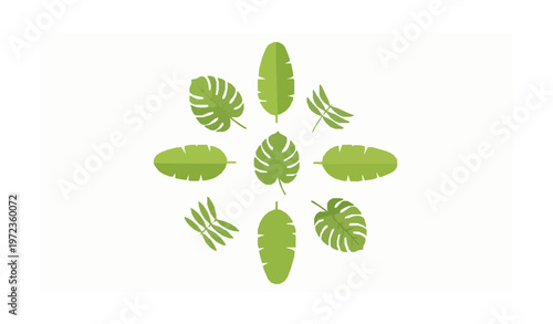 Tropical palm leaf icon set with green jungle foliage banana and fern leaves in flat cartoon style isolated on white background