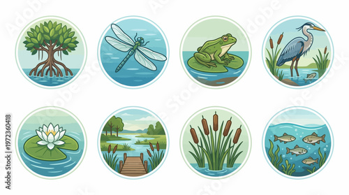 Wetland Ecosystem Vector Illustration Set | Mangrove, Dragonfly, Frog, Heron, Water Lily, Dock, Cattails, Fish Vector Icons for Nature, Biology, Environment, Classroom Design