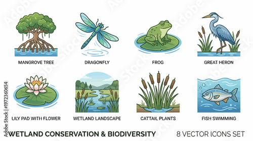 Wetland Ecosystem Vector Illustration Set | Mangrove, Dragonfly, Frog, Heron, Water Lily, Dock, Cattails, Fish Vector Icons for Nature, Biology, Environment, Classroom Design