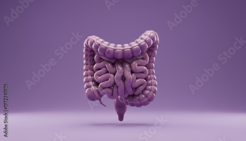 Detailed 3D model of human intestines, floating in soft purple background. Anatomy clearly visible, no people present. Ideal for medical, educational, or health-related content. Perfect for websites