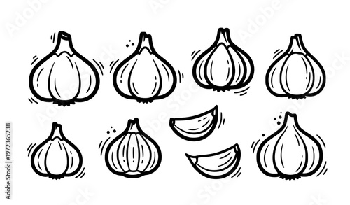 Sticker style garlic doodle icons bold outline food ingredient vector set