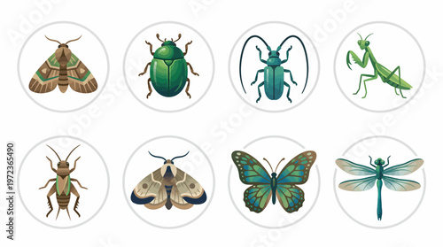 Insect Vector Illustration Set | Moth, Beetle, Longhorn Beetle, Praying Mantis, Grasshopper, Butterfly, Dragonfly Icons | Colorful Biology, Nature, Science, Classroom Design