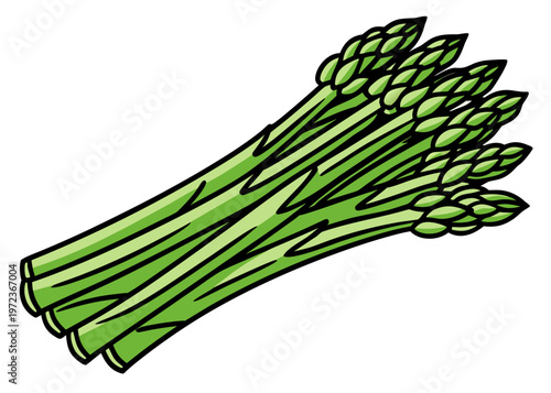 A detailed color illustration shows a bundle of fresh green asparagus stalks with pointed tips and textured stems arranged on a white background.