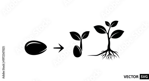Seed Germination and Plant Growth Stages Icon Set