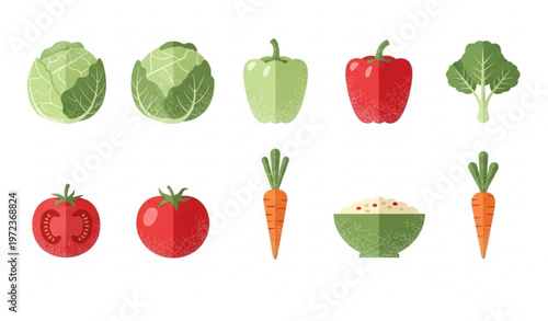 Vegetable cellulose vector set with cabbage pepper tomato carrot and healthy fiber concept