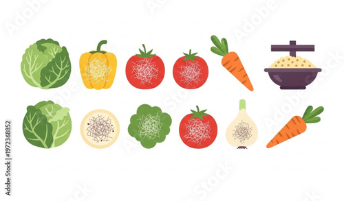 Vegetable cellulose vector bundle with fiber rich food icons and healthy diet concept