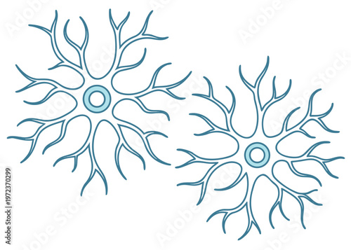 Two blue neuron illustrations rest diagonally on a white surface with rounded somas and branching dendrites without any long axon extensions.