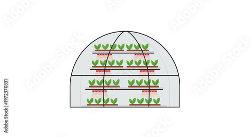 Greenhouse with plants on shelves inside.