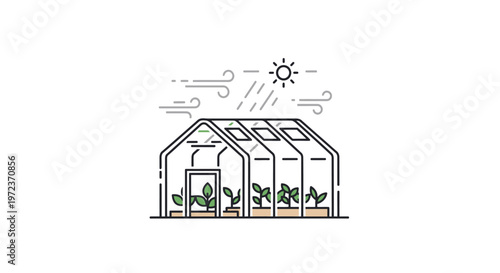 Greenhouse with plants inside sunny day.