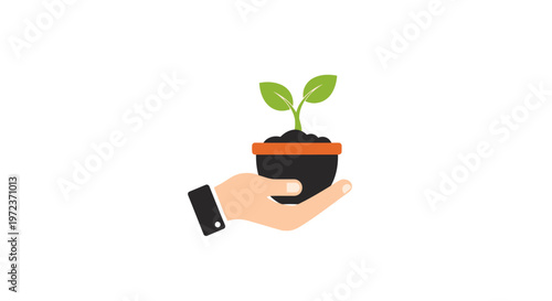 Hand holding small green plant sprout.