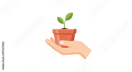 Hand holding small green potted plant.