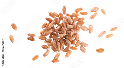 Organic peeled spelt grains isolated on white background. Triticum spelta or dark wheat. Clipping path. Top view.
