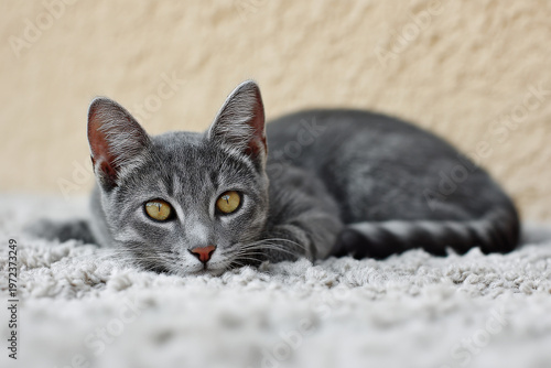 capture intricate textures of natural fabrics like linen cotton and wool in macro shot