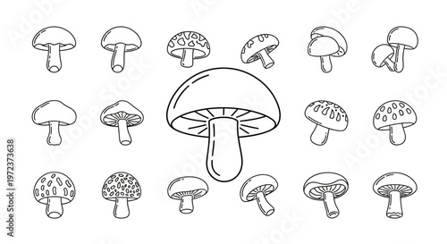 Detailed illustration of various mushroom types.