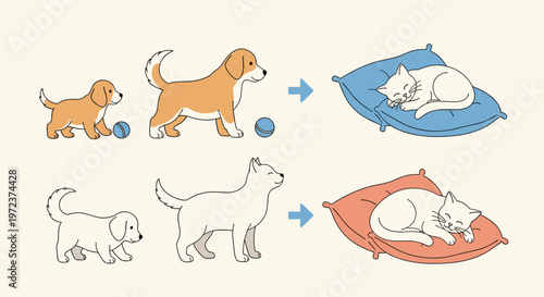 Illustration showing the growth of a golden and white puppy into adult dogs alongside cats sleeping peacefully on colorful pillows.