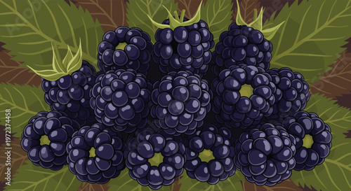 Detailed illustration of a cluster of fresh ripe blackberries with green leaves against a dark brown textured background.