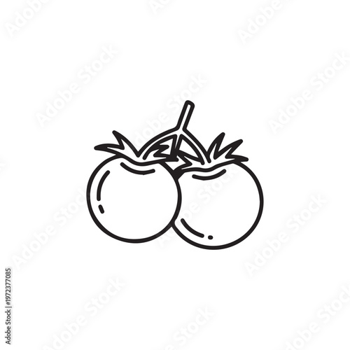 Two Tomatoes on Vine Simple Line Art Icon Food Ingredient Freshness