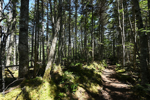 Climbing Mount Kobushigatake, Chichibu, Japan