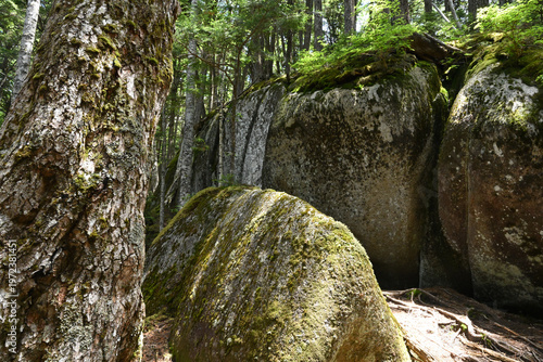 Climbing Mount Kobushigatake, Chichibu, Japan