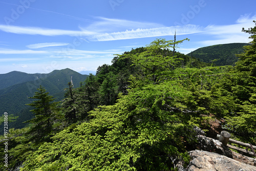 Climbing Mount Kobushigatake, Chichibu, Japan