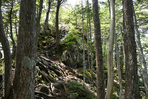 Climbing Mount Kobushigatake, Chichibu, Japan