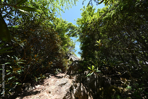 Climbing Mount Kobushigatake, Chichibu, Japan