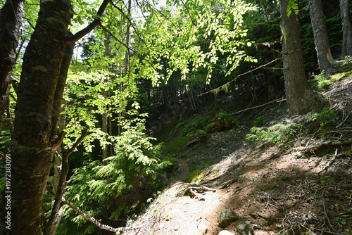 Climbing Mount Kobushigatake, Chichibu, Japan