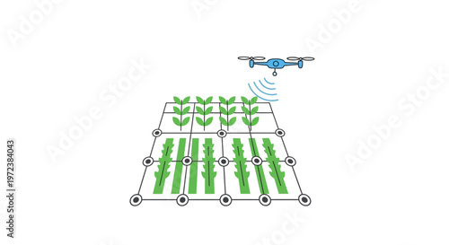 Drone flying over crop field rows.