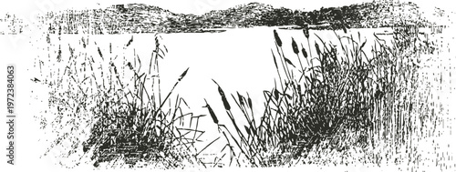 Black and white sketch of lakeside reeds and cattails with calm water and distant trees