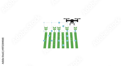 Drone flying over green crop rows.