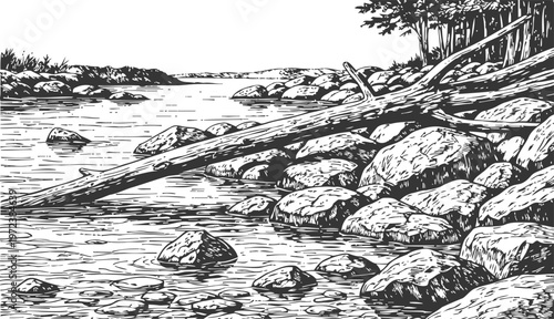 Rocky riverbank with fallen tree and flowing water surrounded by forest and distant landscape