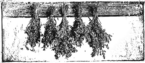 dried herbs hanging on wooden beam for natural seasoning and cooking decoration