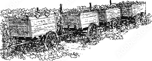 vintage wooden mining carts on railway tracks with overgrown plants, detailed hand drawn illustration