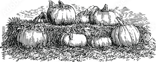 Pumpkins arranged on straw bale vintage autumn harvest scene with ripe gourds and hay