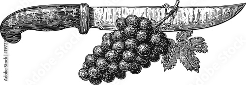Vintage carving knife with detailed wooden handle and ripe grape bunch with leaves illustration
