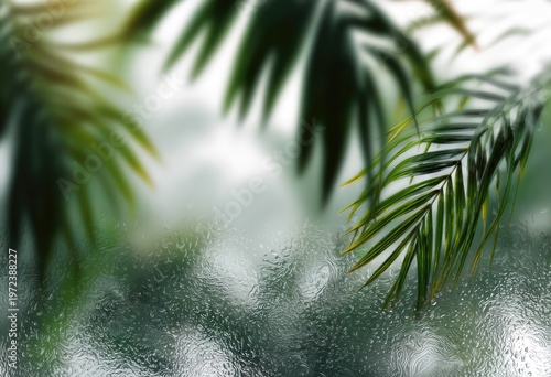 Raindrops on Glass with Tropical Palm Leaves Blurred Background.
