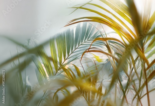 Close-up of lush green palm fronds with golden highlights.