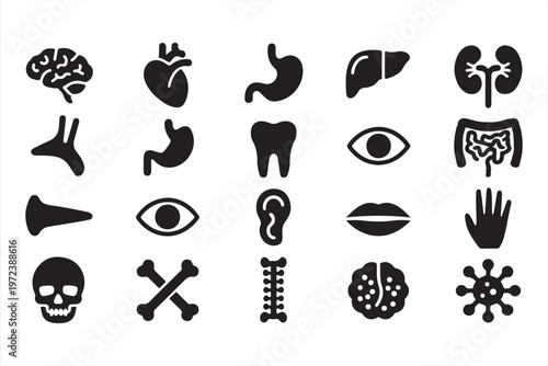 Medical Anatomy Icons Set with Human Organs and Healthcare Symbols