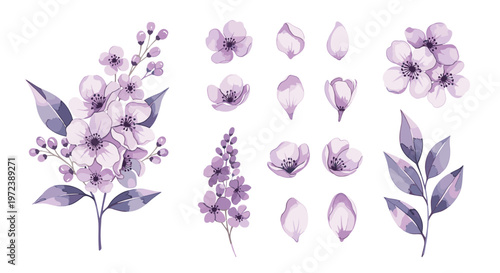 Elegant collection of light purple blossoms and dark foliage including a large branch and individual flower parts.
