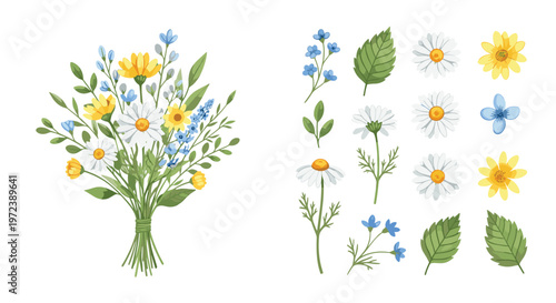 Beautiful watercolor floral bouquet and individual elements like daisies and blue flowers offer a soft natural look for artistic designs.