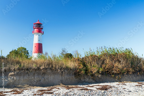 Leuchtturm Falshöft, Ostsee, Pommerby, Schleswig-holstein, Deutschland