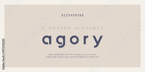Elegant awesome alphabet letters font and number. Classic Lettering Minimal Fashion Designs. Typography fonts regular uppercase and lowercase. vector illustration