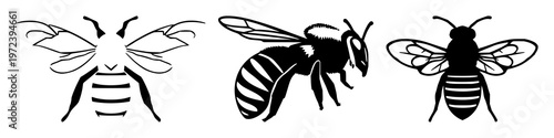 Bee cluster set with solid black icon on white background featuring bees, swarm, intelligence with icon design and vector illustration